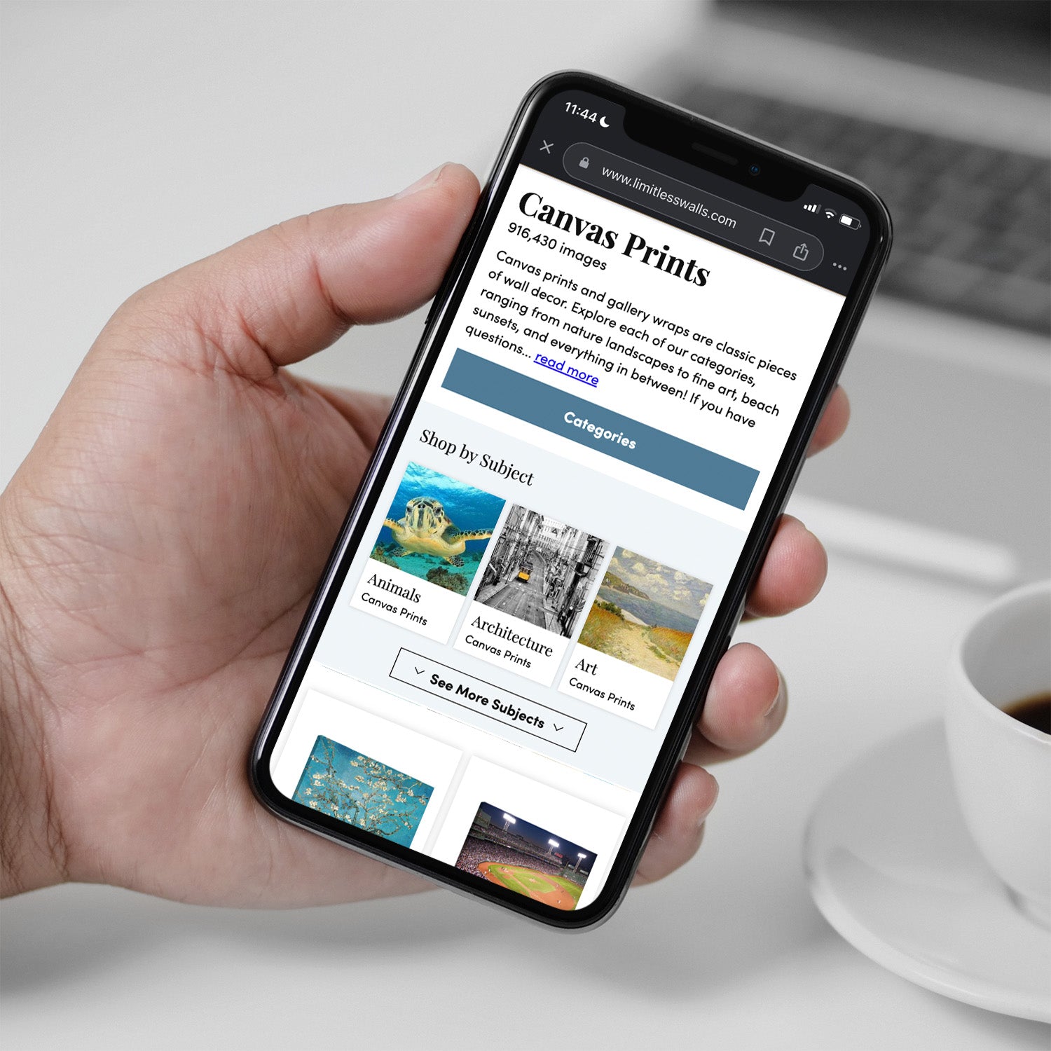 Limitless Walls showcase 4