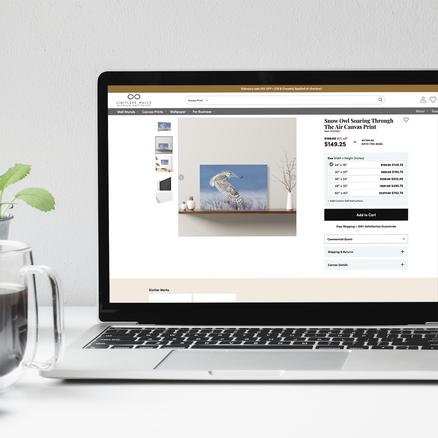 Limitless Walls showcase 8