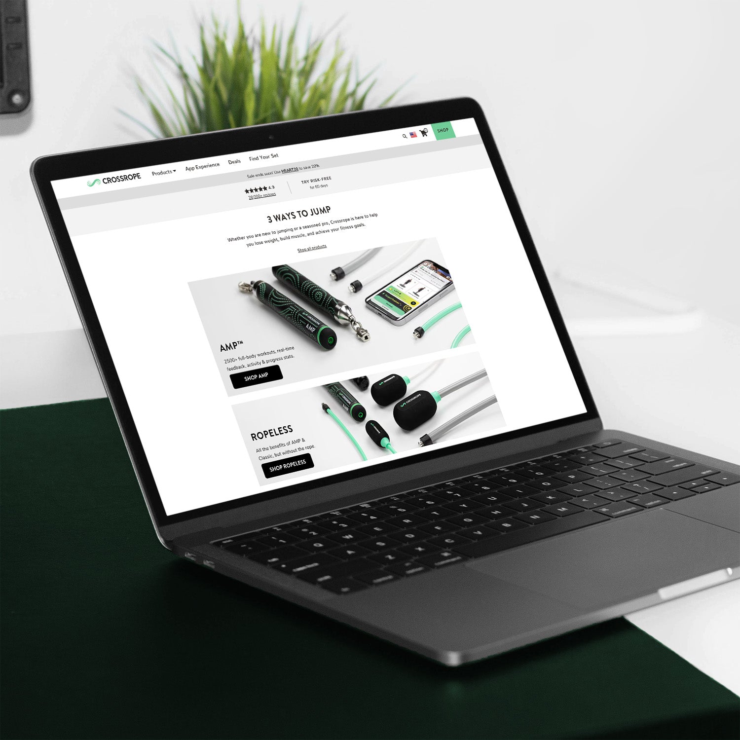 eCommerce Development